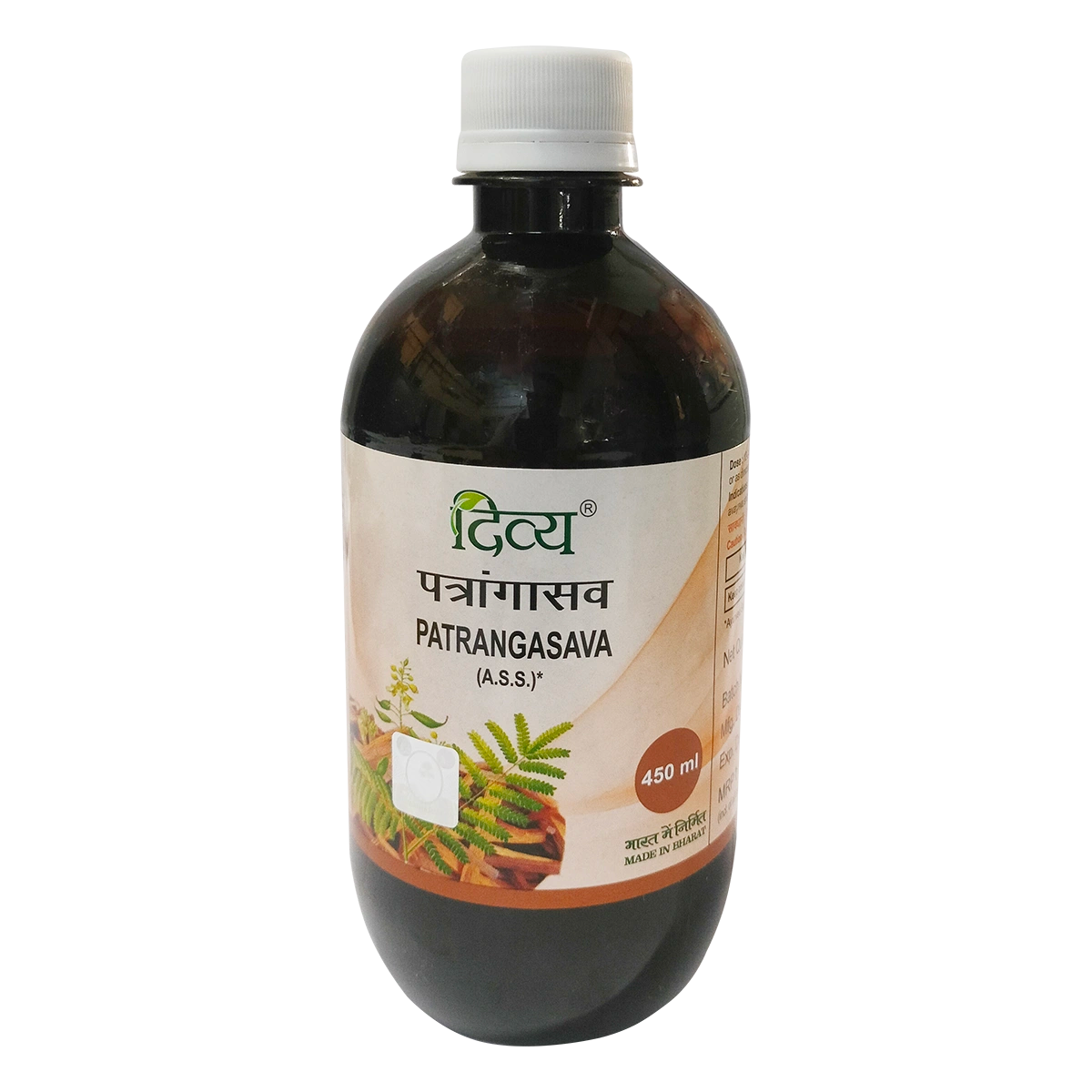 Patanjali Patrangasava