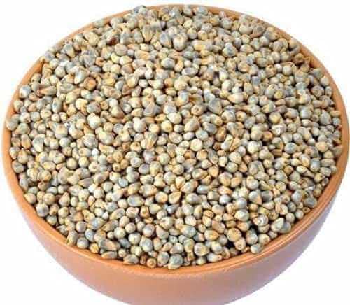 Naturogin Organic Bajra |Pearl Millets, Sajjalu Laddu