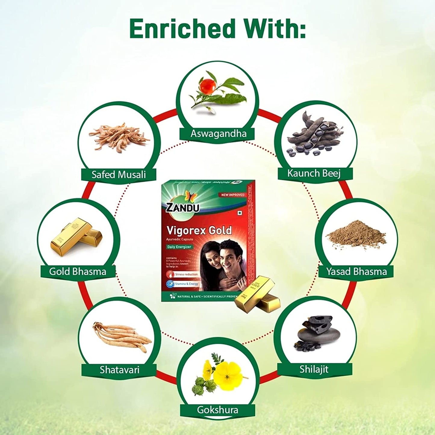 Zandu Vigorex 20 Capsules