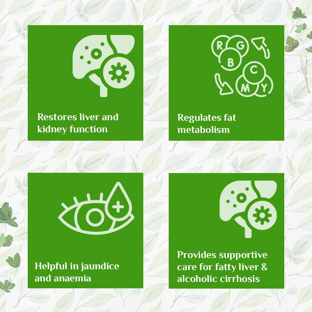 Organic India Liver Kidney Care - PUSHMYCART
