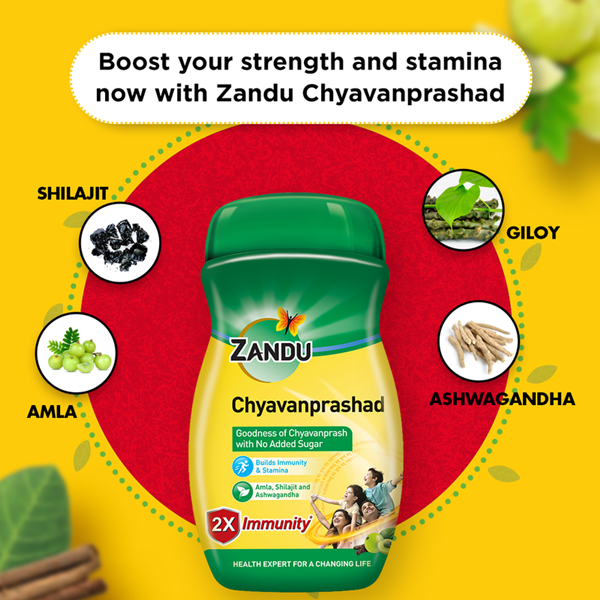 Zandu |Sugar Free Chyavanprashad