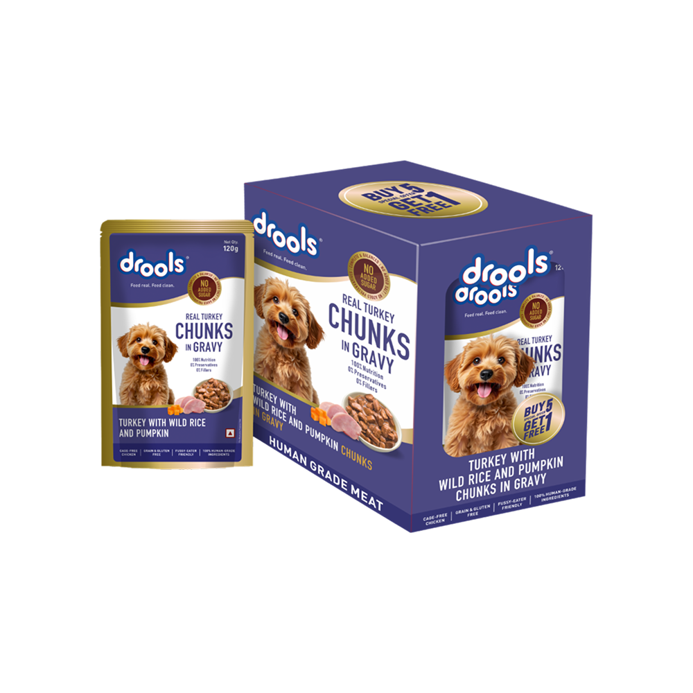 Drools Turkey with Wild Rice & Pumpkin Chunks In Gravy Wet Dog Food