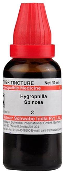 Dr Willmar Schwabe India Hygrophilla Spinosa Mother Tincture Q