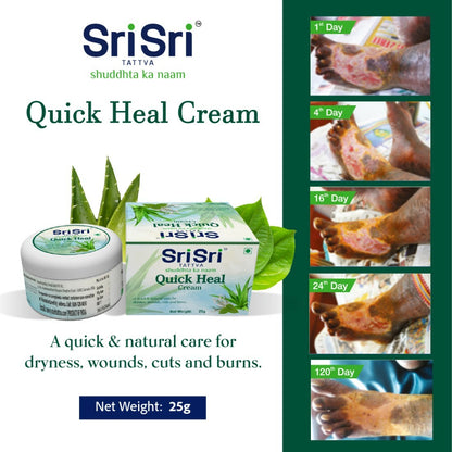 Sri Sri Tattva Quick Heal Cream 25g - PUSHMYCART