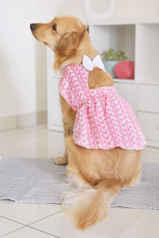 VASTRAMAY Dogs' Pink Chikankari Flared Dress With Attached Bow