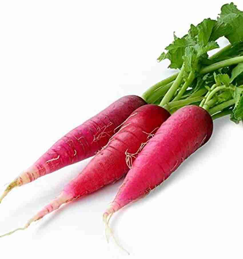 Fresh Red Radish | Laal Mooli Vegetable