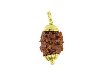 Patanjali 2 Mukhi Rudraksha With Golden Cap