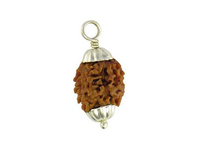 Patanjali 2 Mukhi Rudraksha With Cap