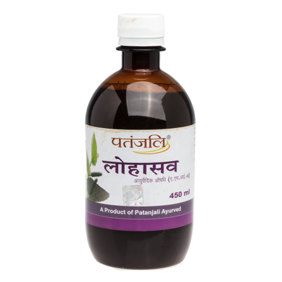 Patanjali Lohasava