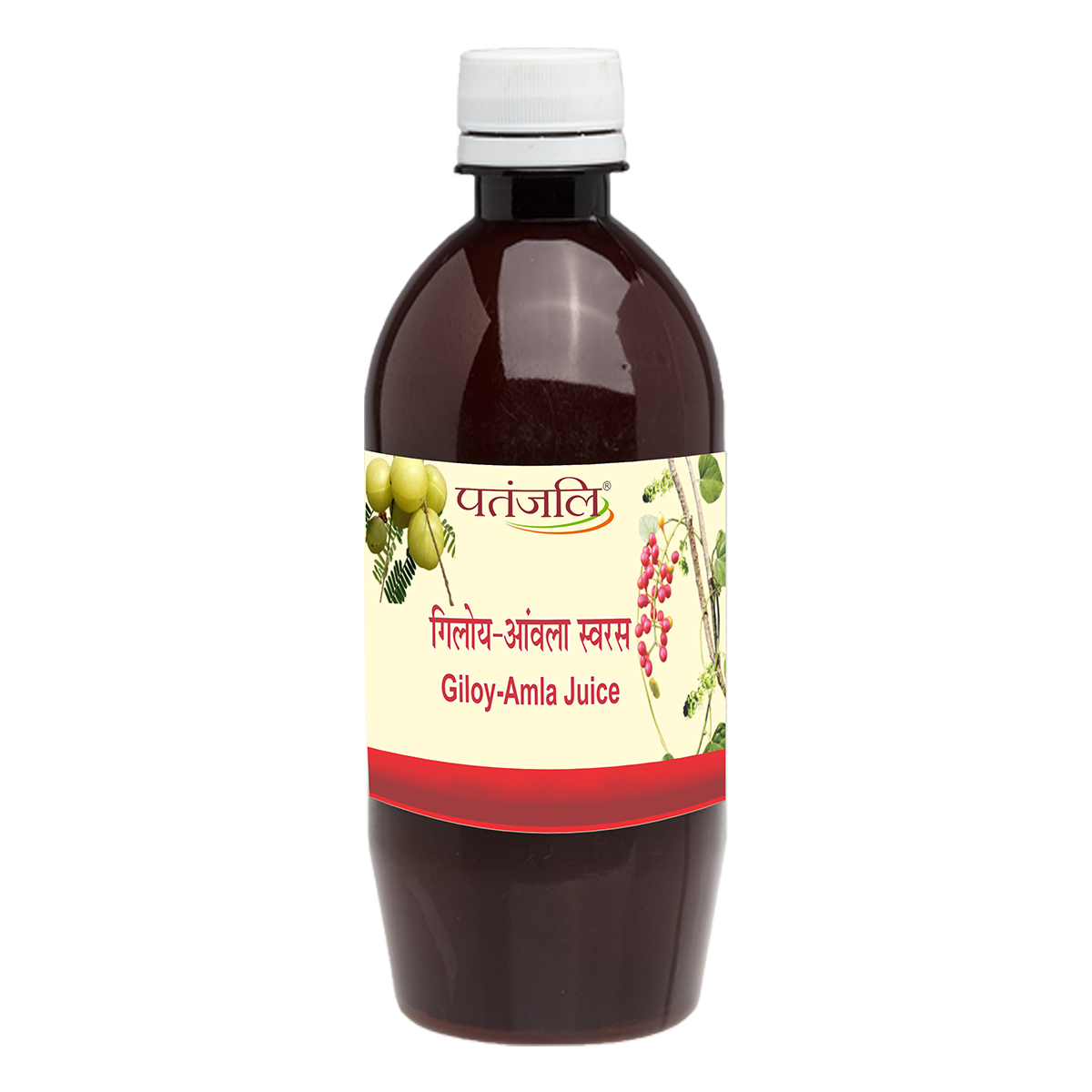 Patanjali Ayurveda Giloy Amala Juice