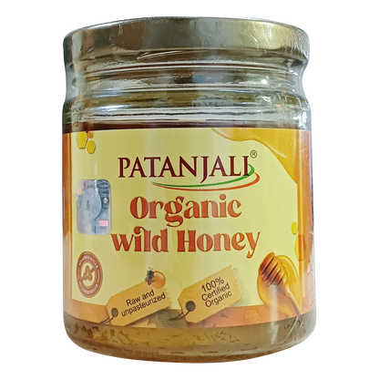 Patanjali Organic Wild Honey