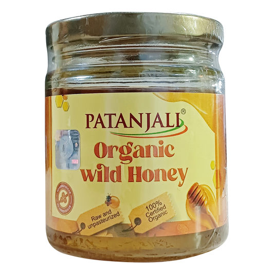 Patanjali Organic Wild Honey