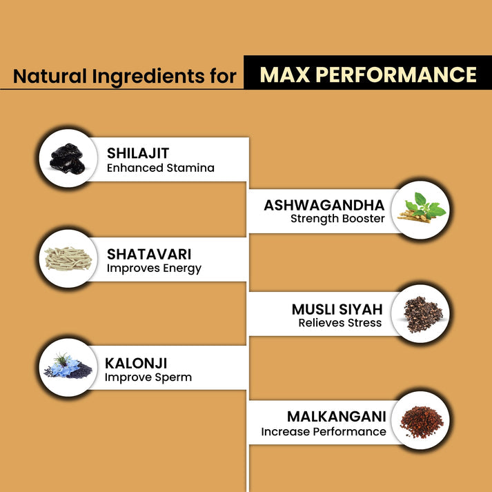 Shilajit Ultra Gold Capsule 30's