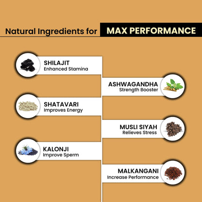 Shilajit Ultra Gold Capsule 30's