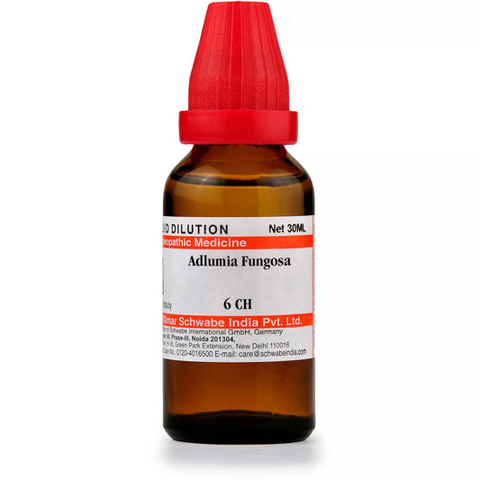 Dr Willmar Schwabe India Adlumia Fungosa Dilution 6 CH