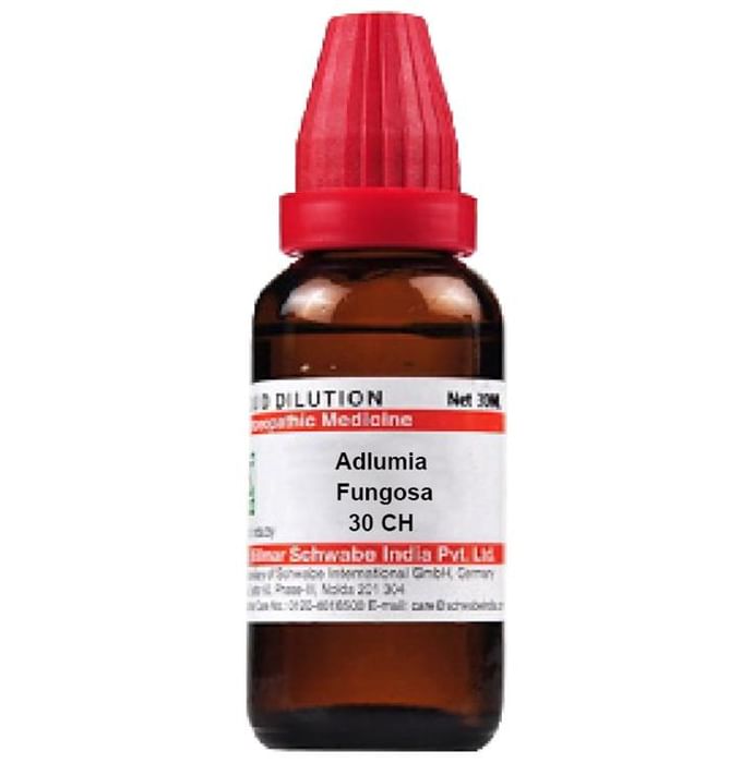 Dr Willmar Schwabe India Adlumia Fungosa Dilution 30 CH - PUSHMYCART
