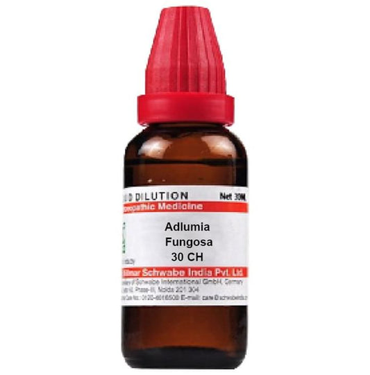 Dr Willmar Schwabe India Adlumia Fungosa Dilution 30 CH - PUSHMYCART