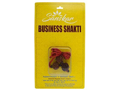 Patanjali Business Shakti