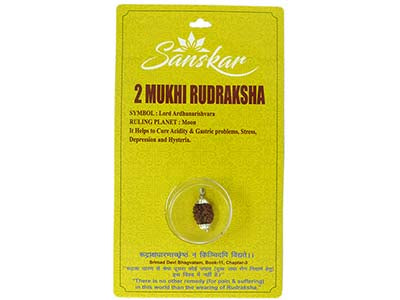 Patanjali 2 Mukhi Rudraksha With Cap