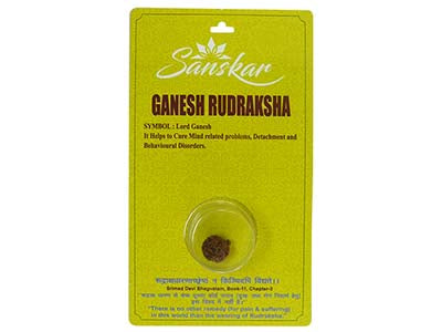 Patanjali Ganesh Rudraksha Without Cap