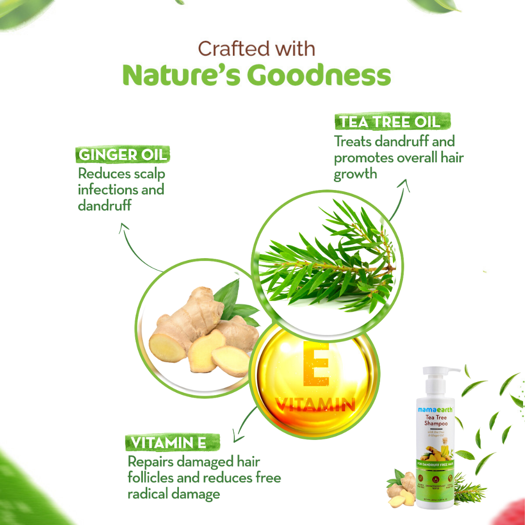 Mamaearth Tea Tree Shampoo for Dandruff Free Hair 250ml - PUSHMYCART