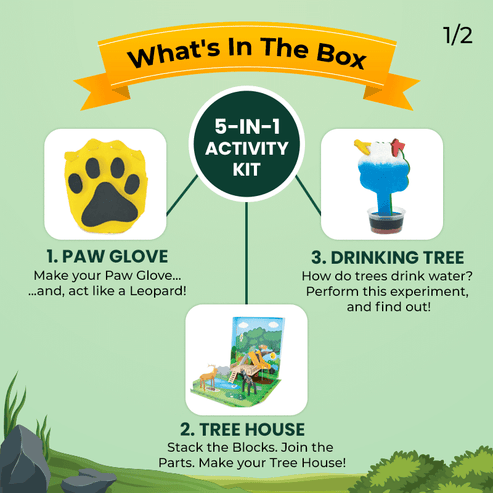 Jungle Explorer | 3-6 Years | DIY Activity Kit