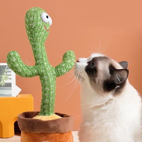 Wembley Dancing and Talking Cactus Musical Toy
