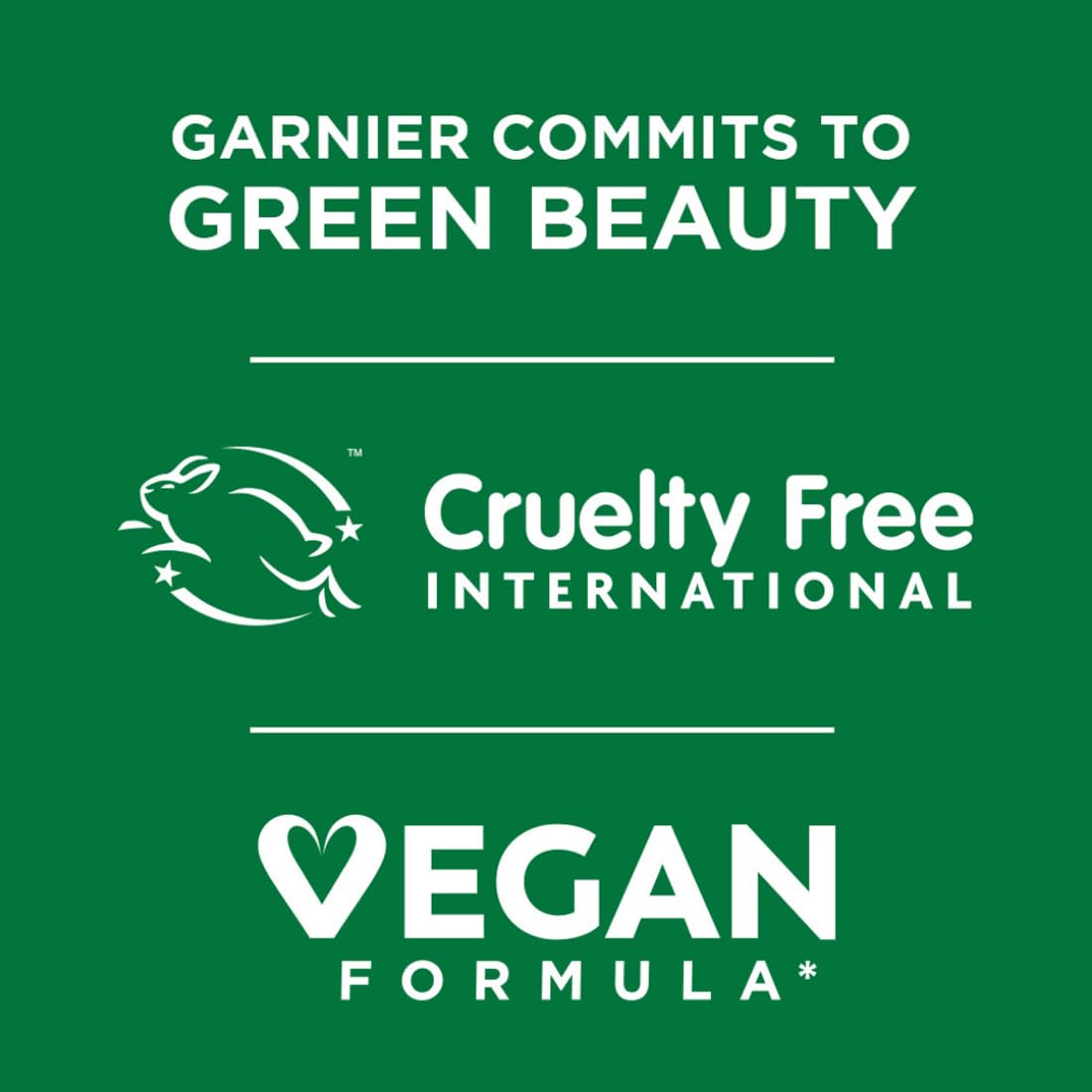 Garnier Skin Naturals Micellar Oil-Infused Cleansing Water - PUSHMYCART