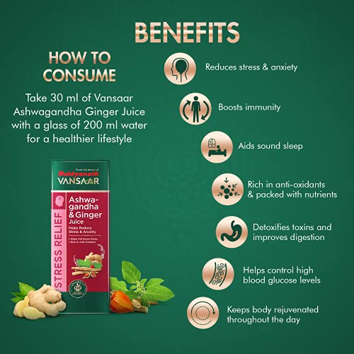 Baidyanath Vansaar Aloe Vera Juice With Pulp