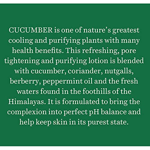 Biotique Cucumber Pore Tightening Toner