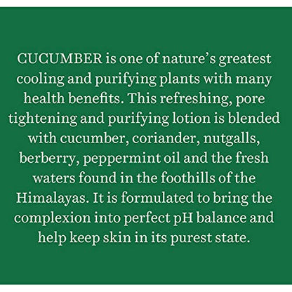 Biotique Cucumber Pore Tightening Toner