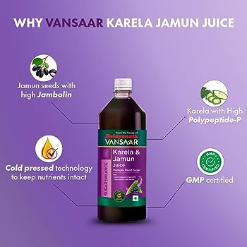 Baidyanath Vansaar Karela Jamun Juice