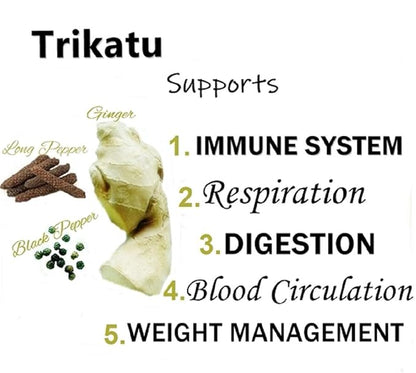 Himalaya Wellness Pure Herbs Trikatu Digestive Wellness 60Tabs - PUSHMYCART