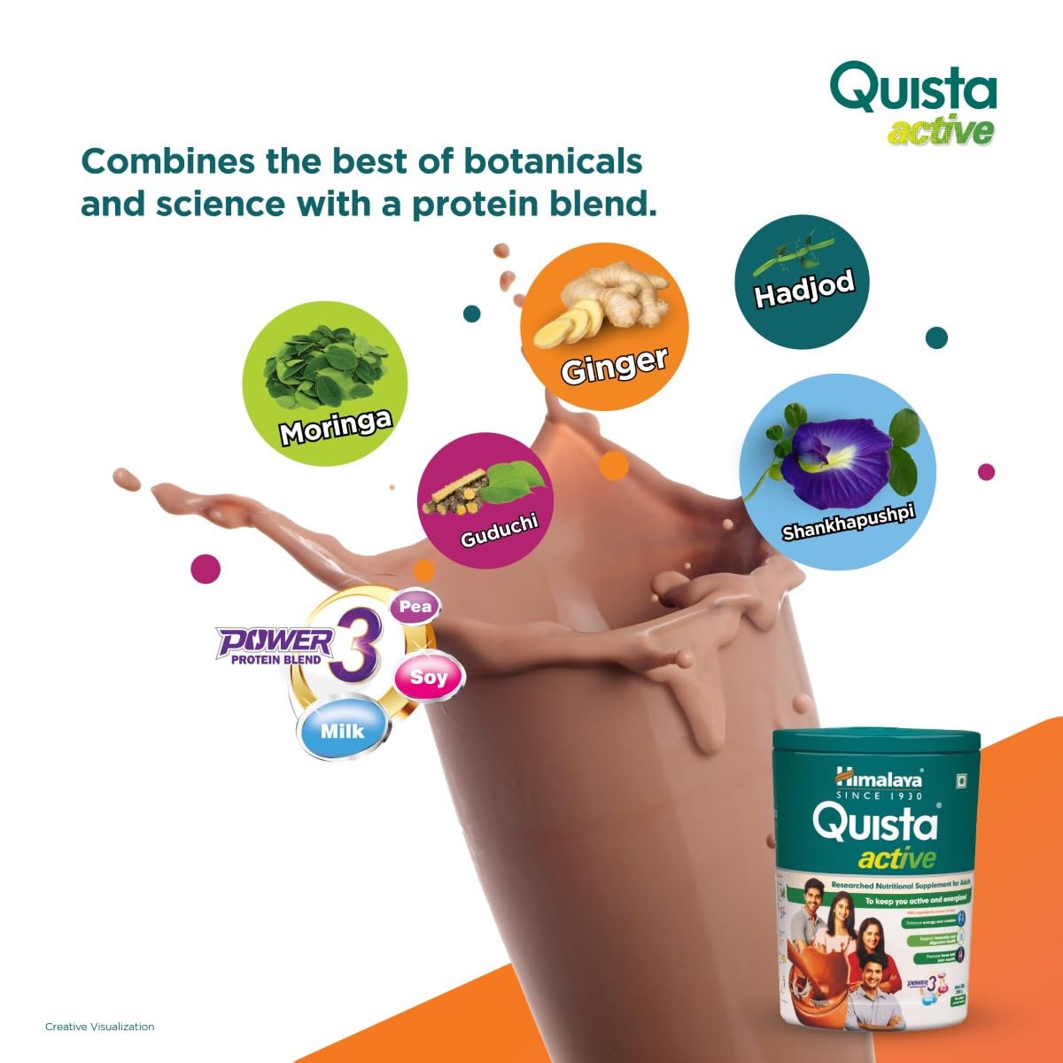 Himalaya Herbals Quista Active