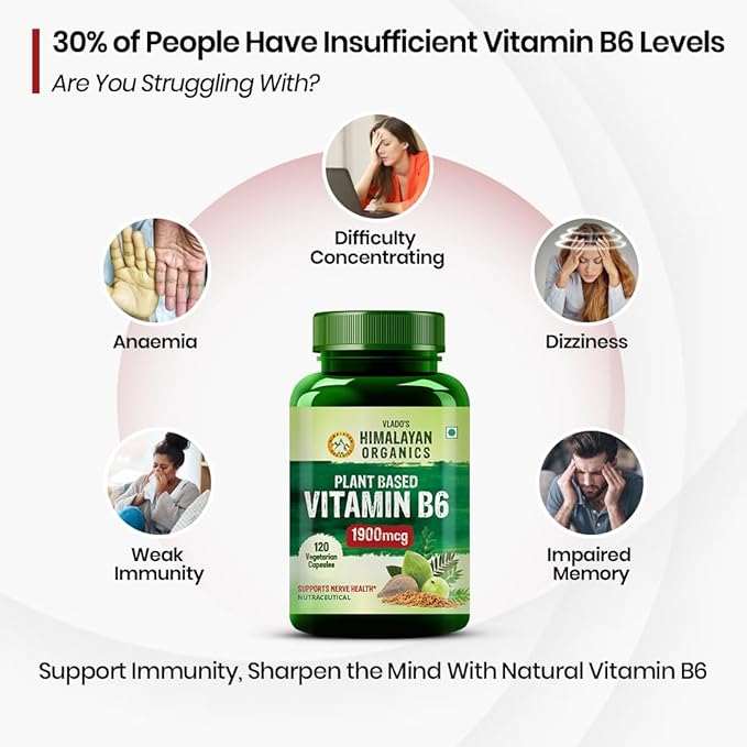Himalayan Organics Plant-Based Vitamin B6 Capsules