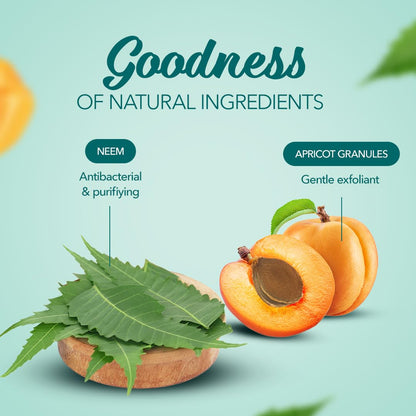 Himalaya Purifying Neem Pack