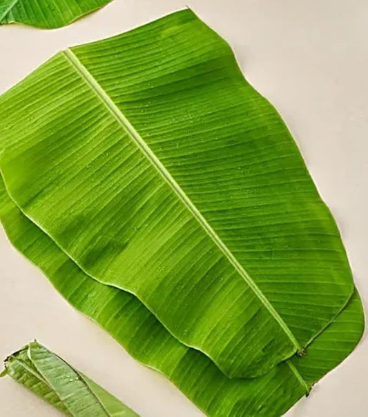 Fresh Banana Leaves