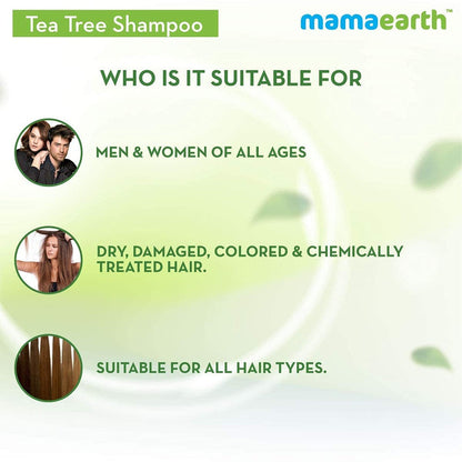 Mamaearth Tea Tree Shampoo and Onion Hair Oil