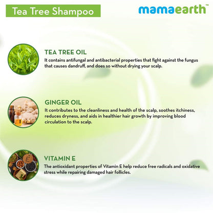 Mamaearth Tea Tree Shampoo and Onion Hair Oil