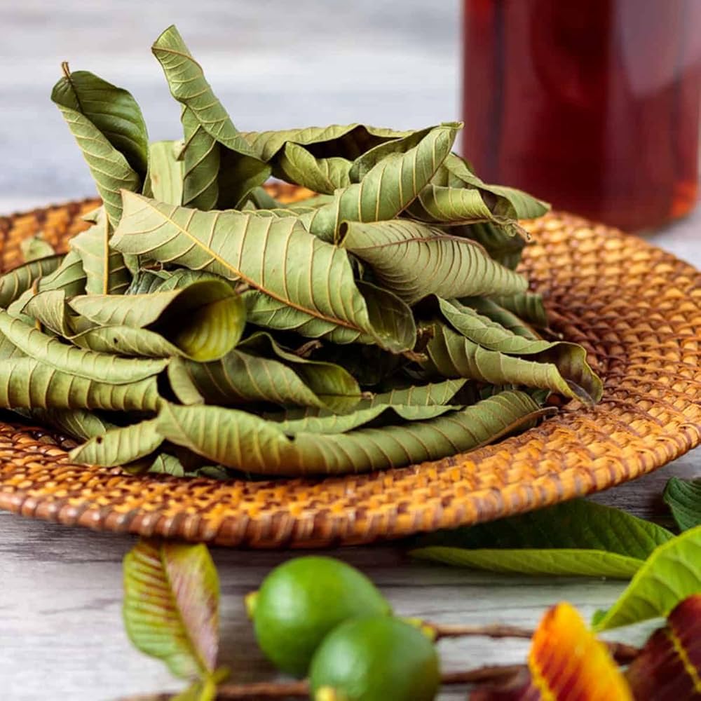 Naturogin Dried Guava leaves Tea