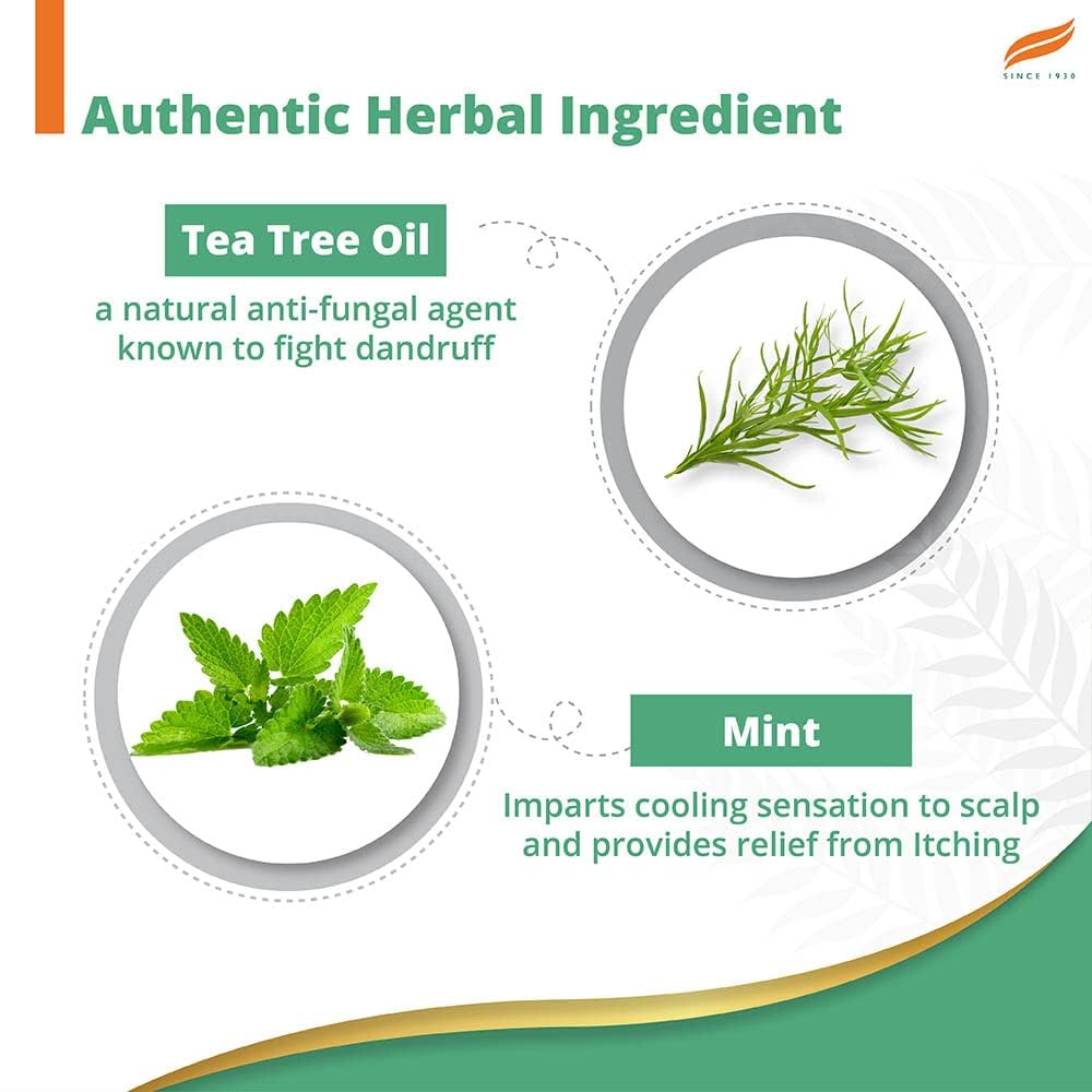Himalaya Herbals Anti-Dandruff Cooling Mint Shampoo