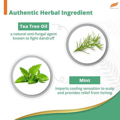 Himalaya Herbals Anti-Dandruff Cooling Mint Shampoo