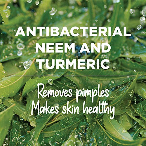 Himalaya Herbals Purifying Neem Face Wash