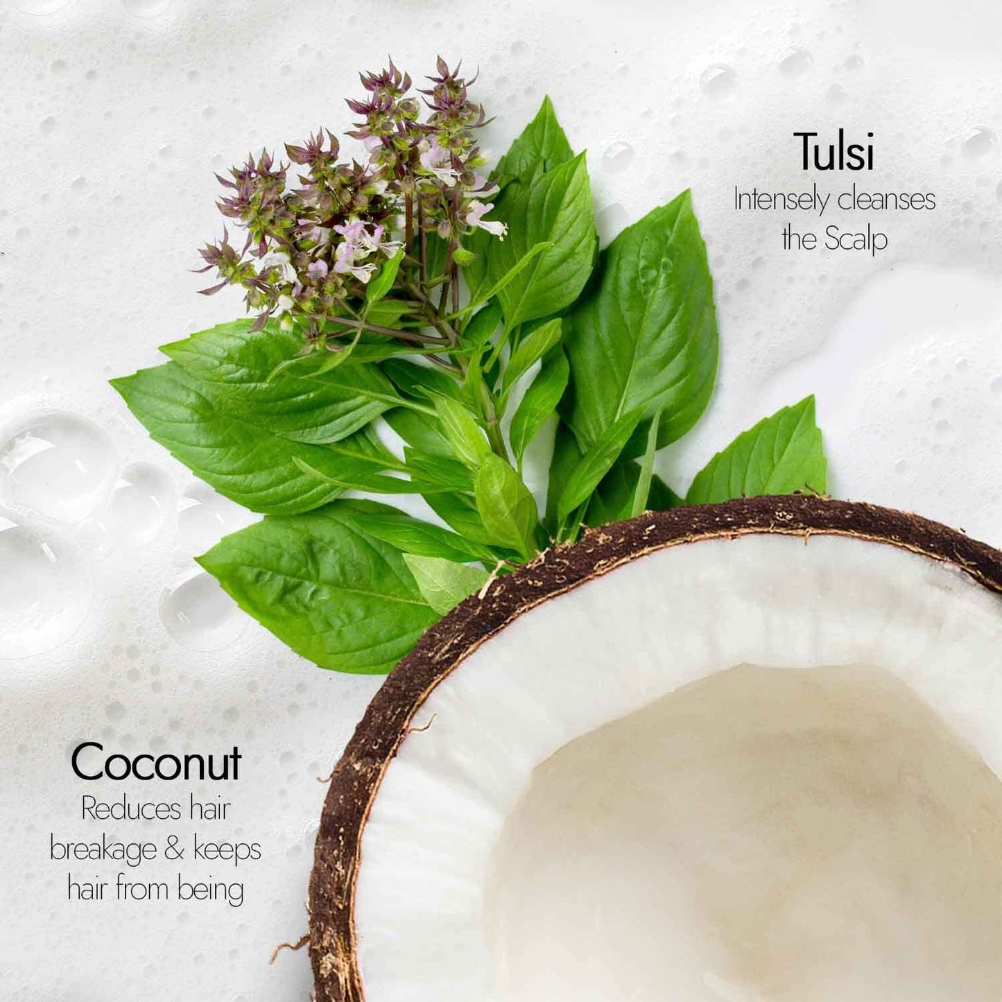 Kapiva Ayurveda Hair Rituals Tulsi Anti-Hairfall Shampoo - PUSHMYCART