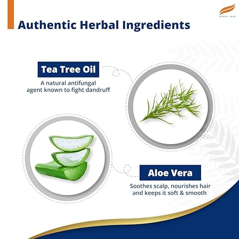 Himalaya Anti Dandruff Shampoo With Tea Tree - PUSHMYCART