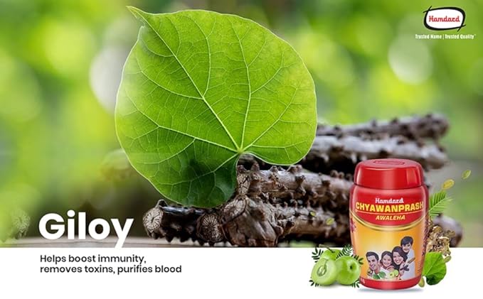 Hamdard Chyawanprash Awaleha