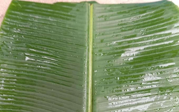 Fresh Banana Leaves