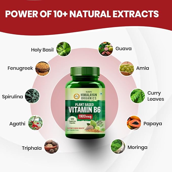 Himalayan Organics Plant-Based Vitamin B6 Capsules