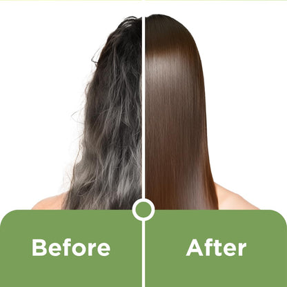 Himalaya Herbals Natural Shine Henna Powder
