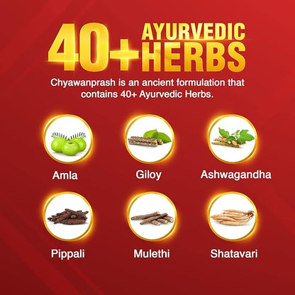 Dabur Chyawanprash 3X Immunity Action